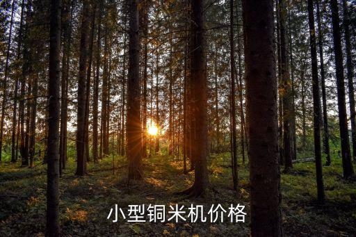 小型铜米机多少钱一台的，小型的嚰米机价位大概在多少钱哪里能买到有能嚰米还能嚰面的吗