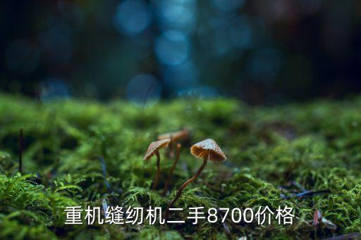 重机缝纫机二手8700价格