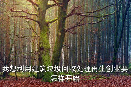 我想利用建筑垃圾回收处理再生创业要怎样开始
