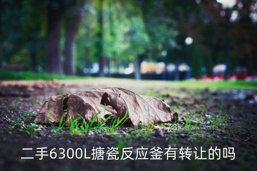 二手6300L搪瓷反应釜有转让的吗