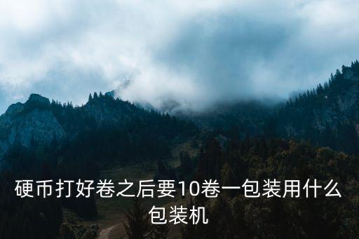 硬币打好卷之后要10卷一包装用什么包装机
