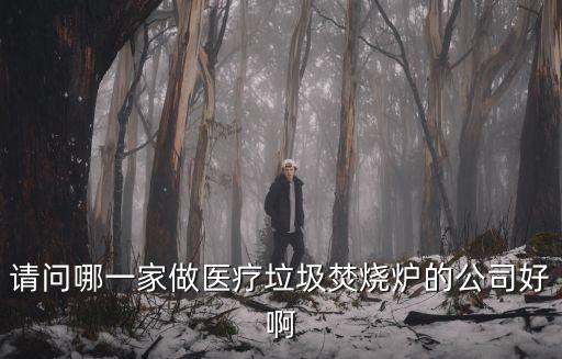 请问哪一家做医疗垃圾焚烧炉的公司好啊