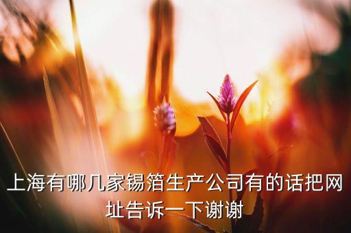 上海有哪几家锡箔生产公司有的话把网址告诉一下谢谢