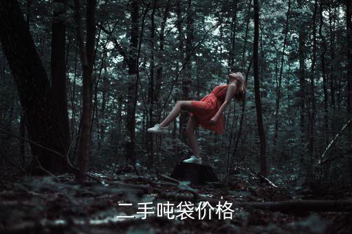 二手吨袋价格