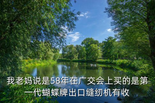 蝴蝶牌缝纫机收藏价格，蝴蝶牌家用电动缝纫机价格多少