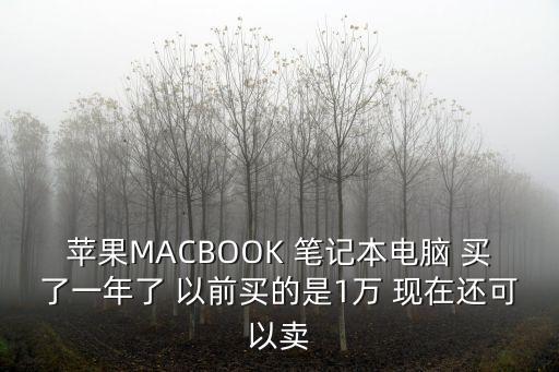 苹果MACBOOK 笔记本电脑 买了一年了 以前买的是1万 现在还可以卖