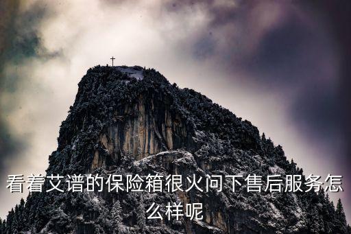 看着艾谱的保险箱很火问下售后服务怎么样呢