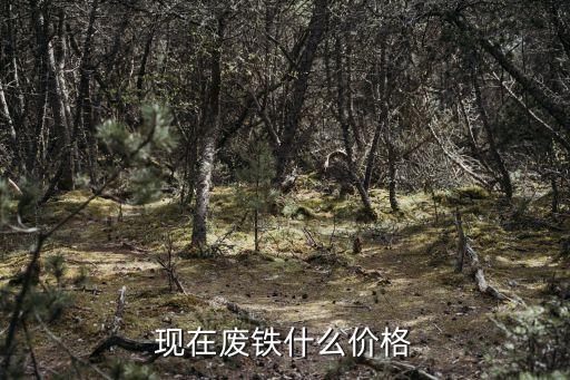 一公斤废铁多少钱，现在废铁多少钱一公斤