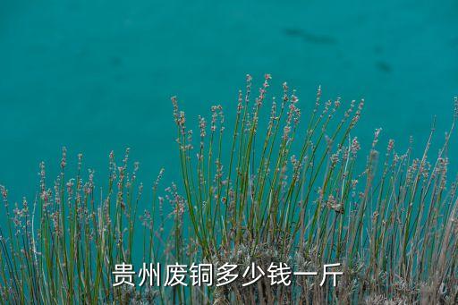 贵州废铜多少钱一斤