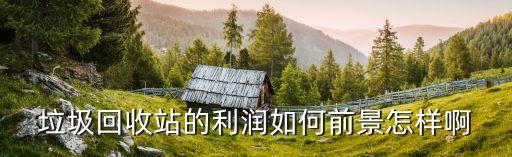 垃圾回收站的利润如何前景怎样啊
