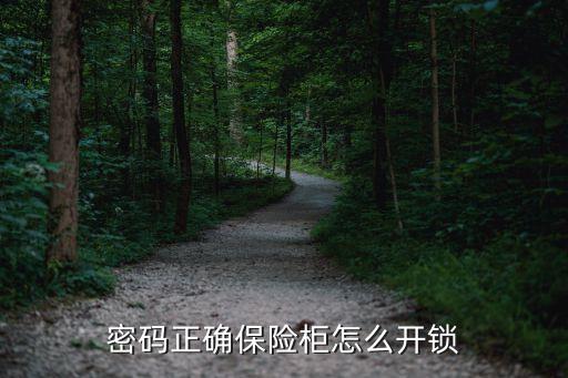 密码正确保险柜怎么开锁