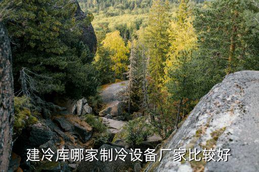 建冷库哪家制冷设备厂家比较好