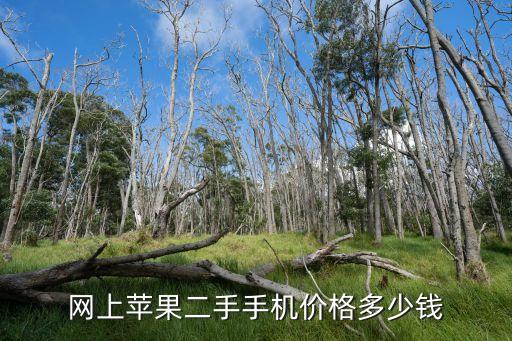 网上苹果二手手机价格多少钱