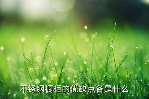 不锈钢厨房置物柜，不锈钢橱柜缺点有哪些
