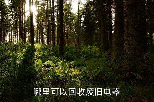 哪里可以回收废旧电器