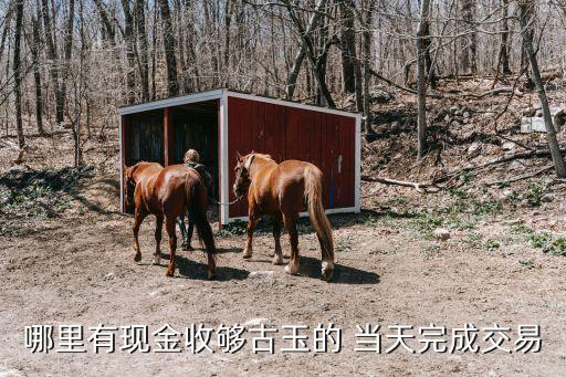 哪里有现金收够古玉的 当天完成交易