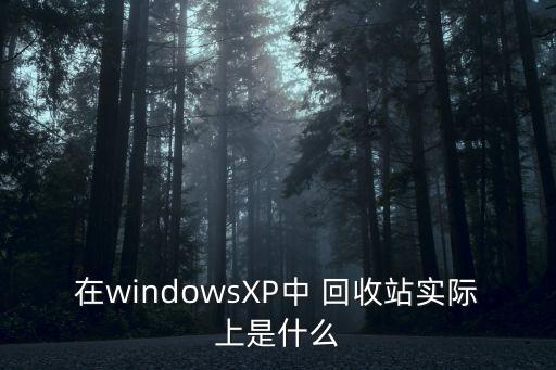 在windowsXP中 回收站实际上是什么
