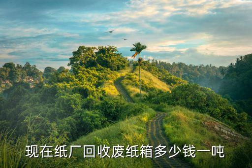 现在纸厂回收废纸箱多少钱一吨