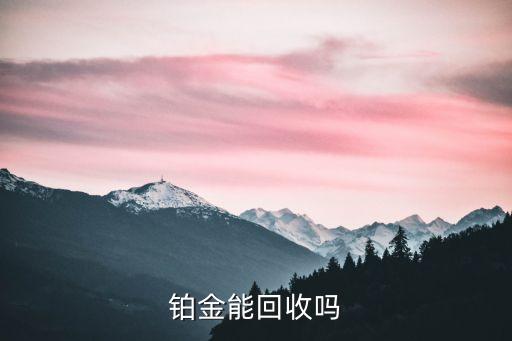 铂金能回收吗