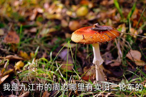 附近有卖旧三轮车的吗，现在哪里有卖二手电动三轮车或者卖三轮车的地方 谢谢
