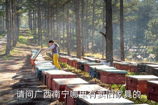 请问广西南宁哪里有卖旧家具的