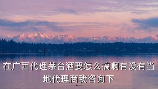 在广西代理茅台酒要怎么搞啊有没有当地代理商我咨询下
