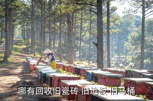 哪有回收旧瓷砖 旧地板 旧马桶