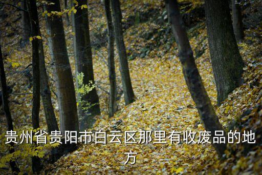 白云区废品回收公司，贵州省贵阳市白云区那里有收废品的地方