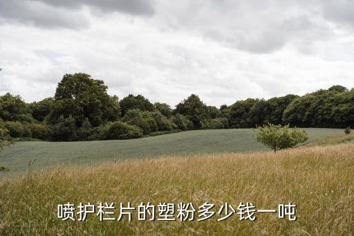 喷护栏片的塑粉多少钱一吨