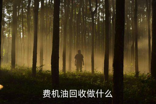 费机油回收做什么