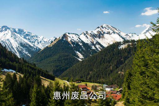 惠州废品公司