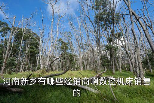 河南新乡有哪些经销商啊数控机床销售的
