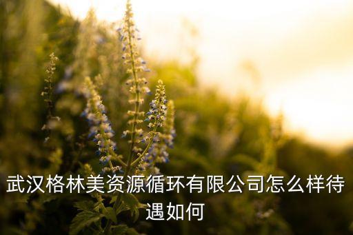 武汉格林美资源循环有限公司怎么样待遇如何