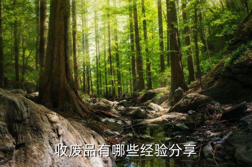 收废品有哪些经验分享