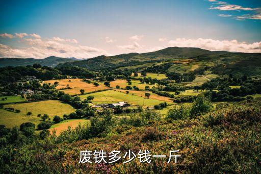 今日废铁回收价格行情金投网，废铁的单价