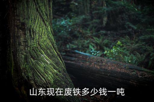 山东现在废铁多少钱一吨