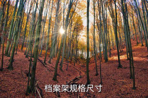 档案架规格尺寸