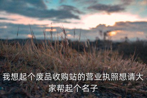我想起个废品收购站的营业执照想请大家帮起个名子