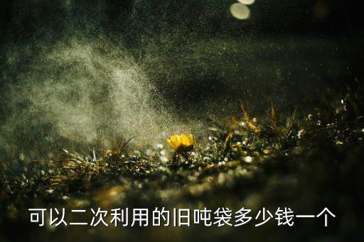 吨包回收价格，蛇皮袋回收 本公司每月提供100个左右 单个重量25千克 请问这种回收