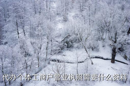 代办个体工商户，注册个体工商营业执照可以找人代办