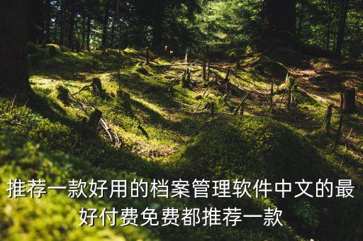 智慧档案管理平台，推荐一款好用的档案管理软件中文的最好付费免费都推荐一款