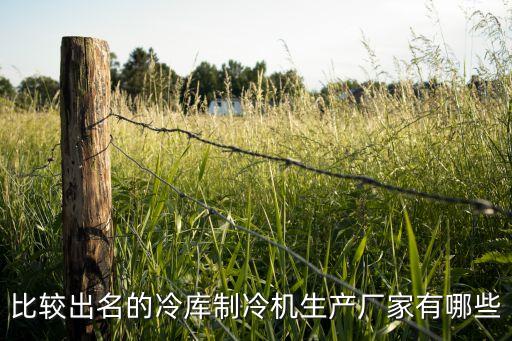 比较出名的冷库制冷机生产厂家有哪些