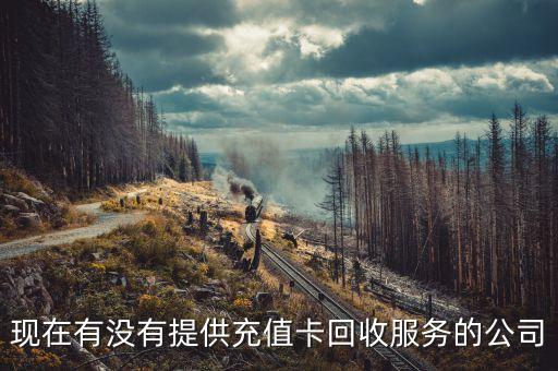 现在有没有提供充值卡回收服务的公司
