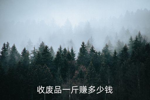 收废品一斤赚多少钱