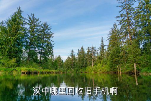 汉中哪有收废品的，陕西汉中哪有比较大的废品回收站
