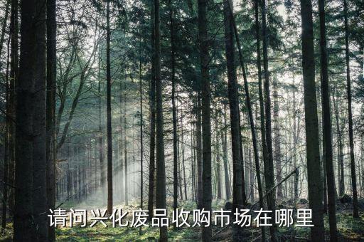 请问兴化废品收购市场在哪里