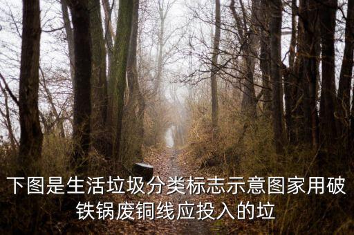 下图是生活垃圾分类标志示意图家用破铁锅废铜线应投入的垃