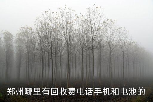 郑州哪里有回收费电话手机和电池的