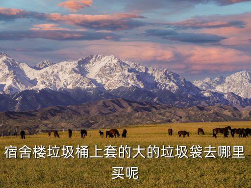 垃圾袋一般哪里有卖，南宁哪里卖垃圾袋