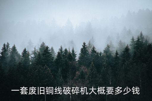 一套废旧铜线破碎机大概要多少钱